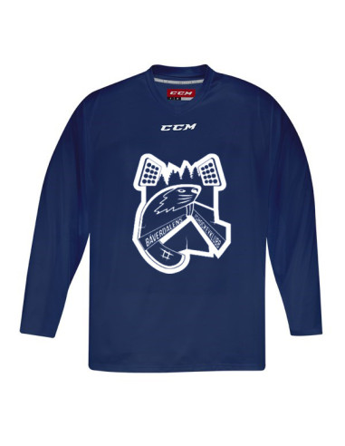 BÄVERDALEN TRÄNINGSTRÖJA SR